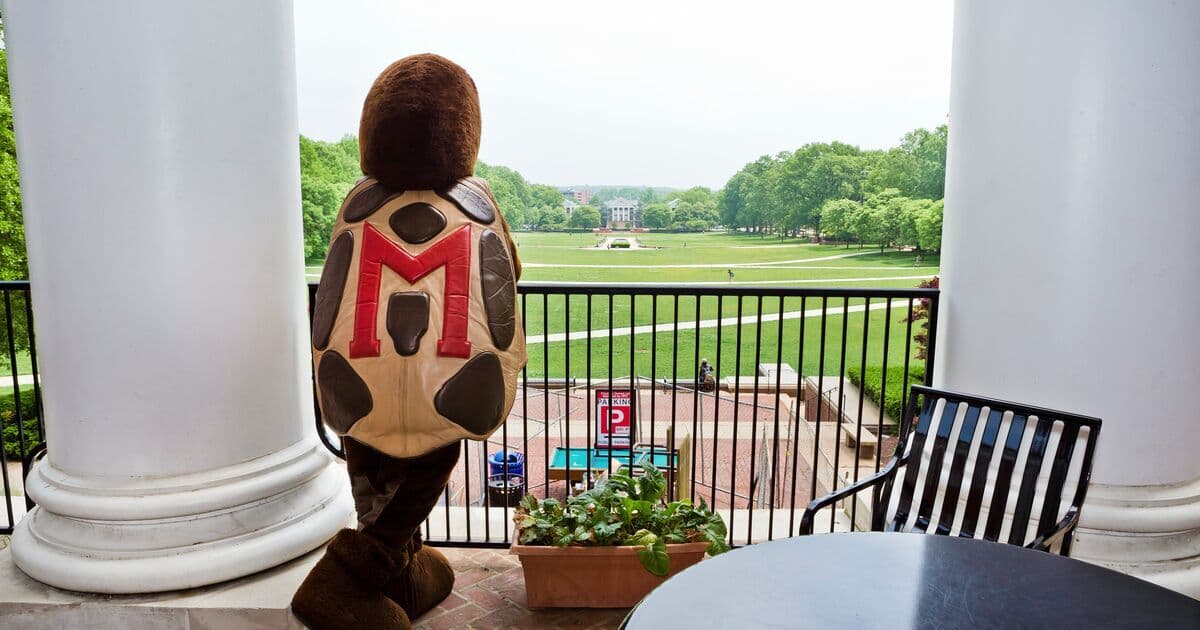 Testudo mascot overlooking the Mall from the second floor porch area of McKeldin Library